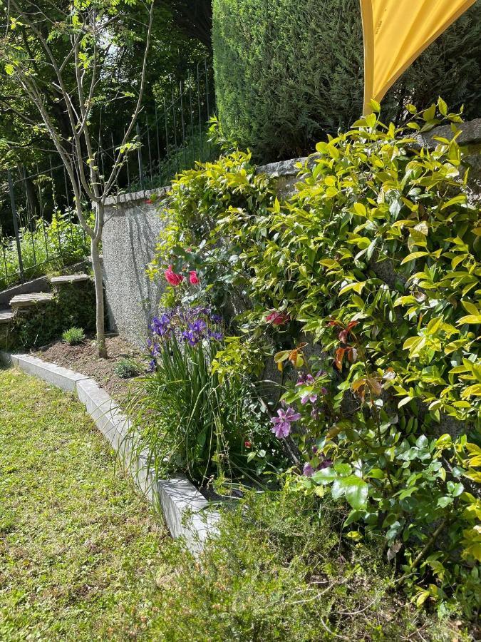 B&B Gli Ulivi Carlazzo 外观 照片